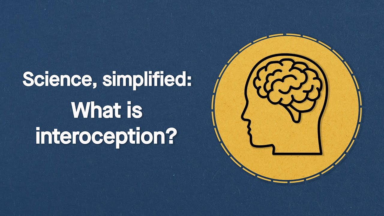 What is Interoception? - Science, Simplified