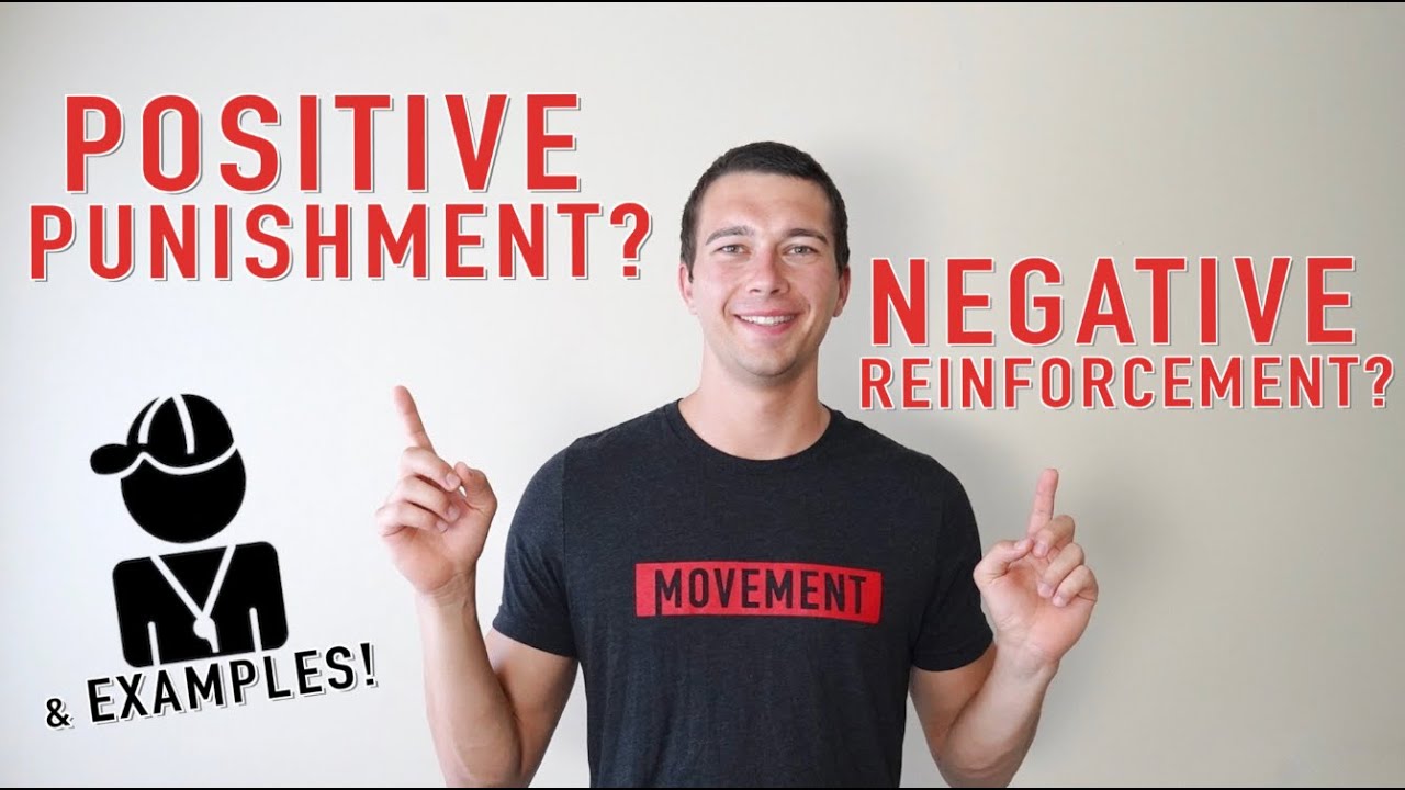 Examples of Positive and Negative Reinforcement and Punishment: Operant Conditioning Explained