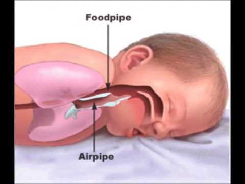 Cribs for Kids Animation Airpipe