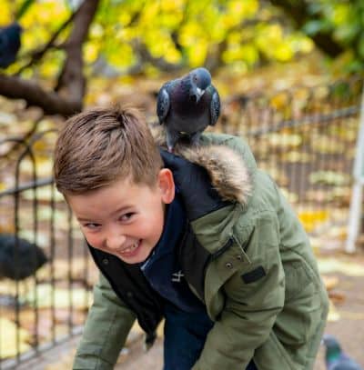 Autism child with the dove bird