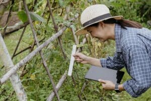 Supervised Fieldwork women