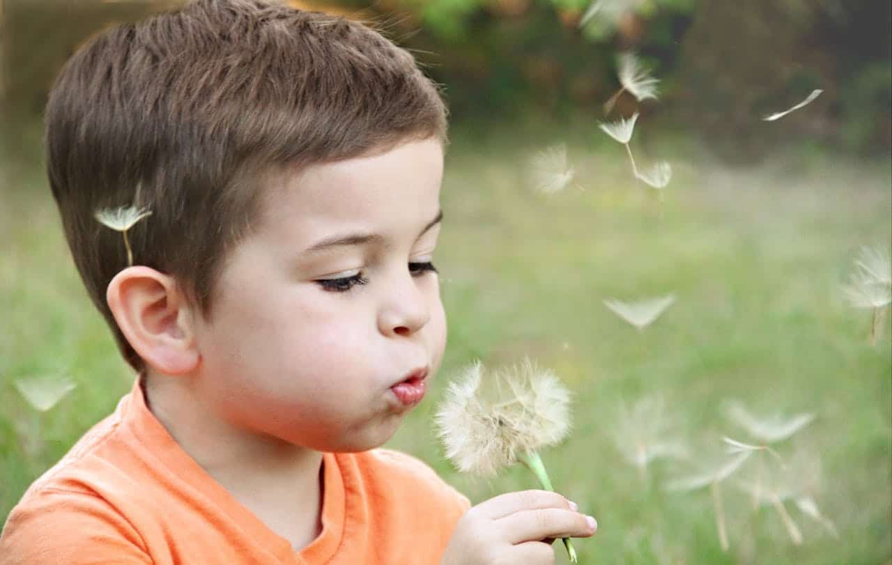 boy blowing a dandelion