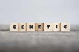 one of the autism possible causes Genetic