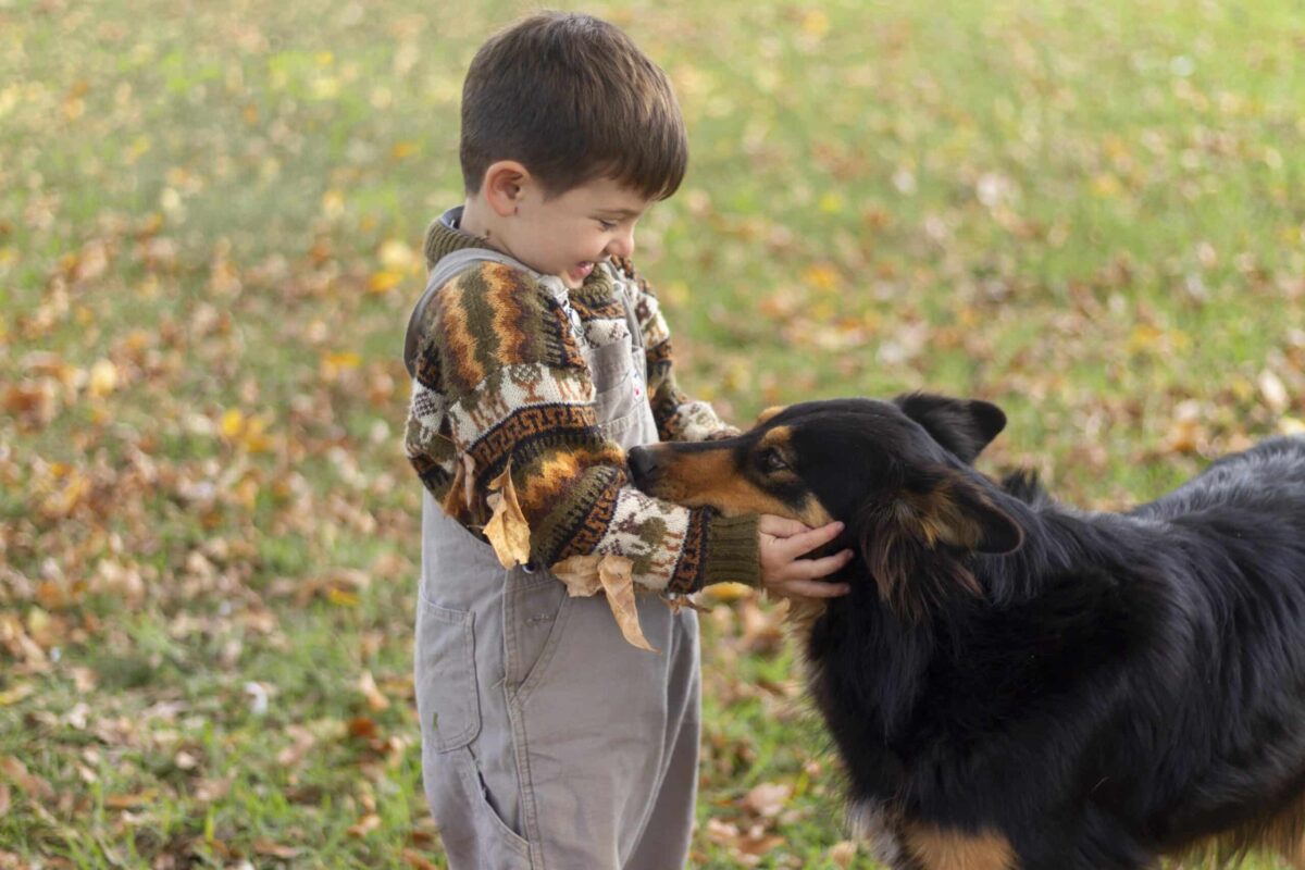 Understanding Autism in Dogs: Signs, Symptoms, and Care Tips