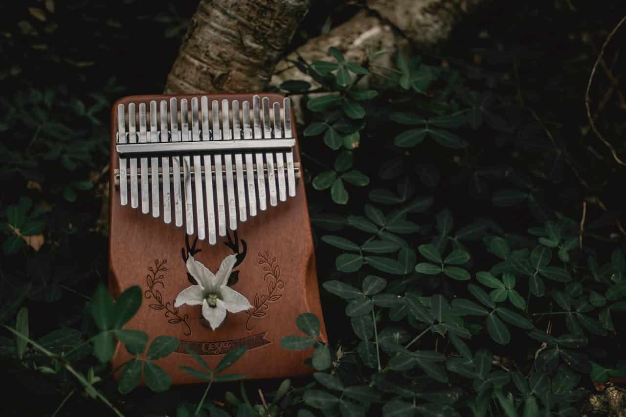 white flower atop a kalimba on the forest floor