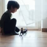 An autistic child playing with his toys in a room alone